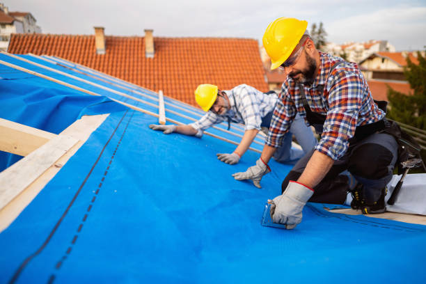 Gutter Installation and Roofing in York, AL